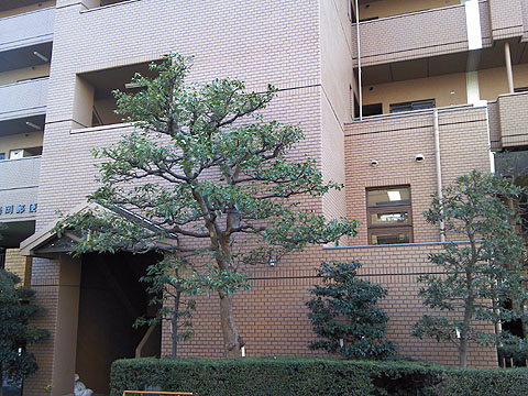 その他共用部　外観３