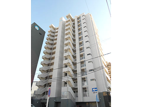 現地外観写真 外観北側見上げ