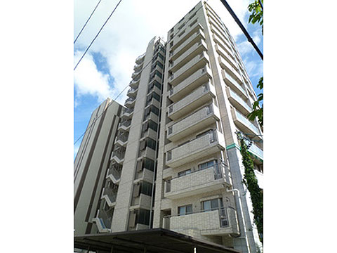 現地外観写真 外観