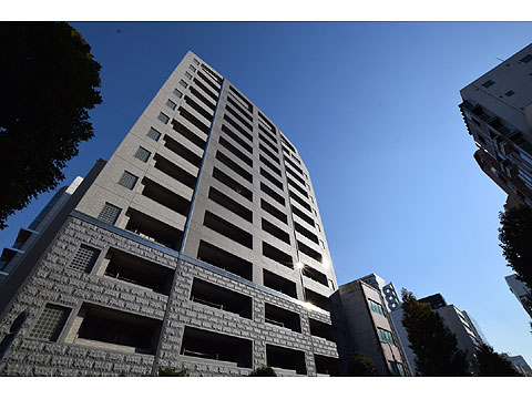 現地外観写真 外観