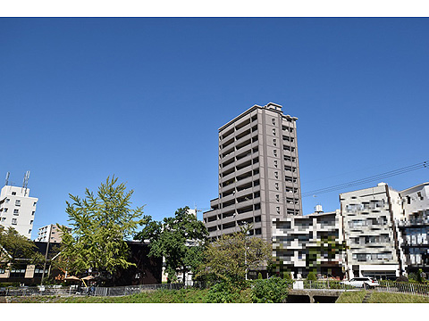 現地外観写真　隼人池から見た外観