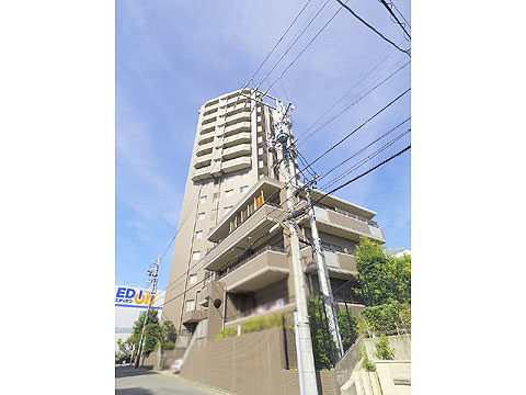 現地外観写真 高層棟と低層棟