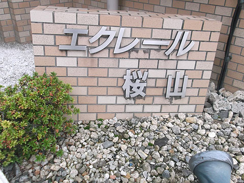 その他共用部　写真１