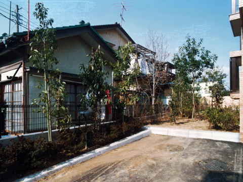 その他共用部 植栽1