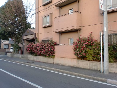 その他共用部 外観4