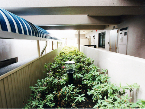 その他共用部 植栽