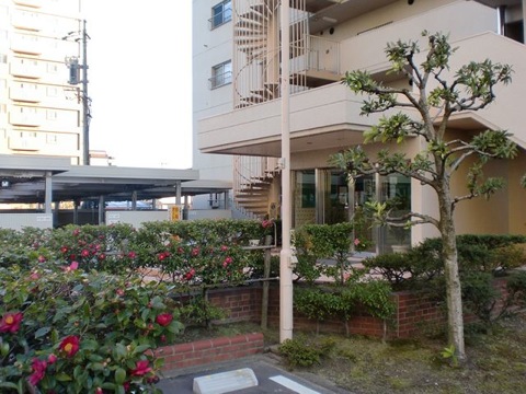 その他共用部 外観4