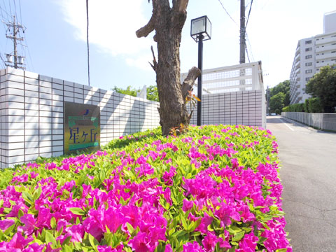 エントランス IMGP2653