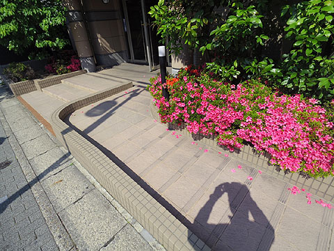 エントランス　エントランスアプローチ