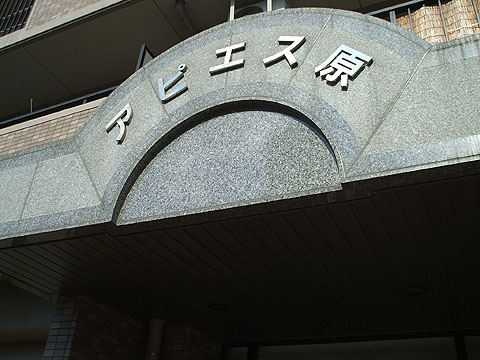 その他共用部　写真１