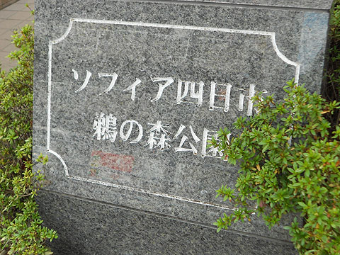 現地外観写真 外観北側