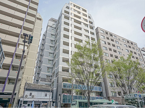 現地外観写真 外観