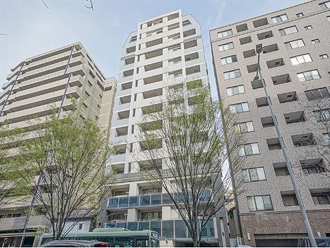 現地外観写真 外観