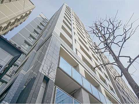 現地外観写真 外観