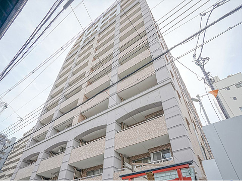 現地外観写真 外観