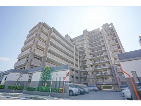 現地外観写真 外観