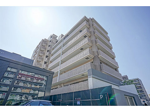 現地外観写真 外観