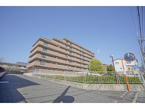 現地外観写真 外観