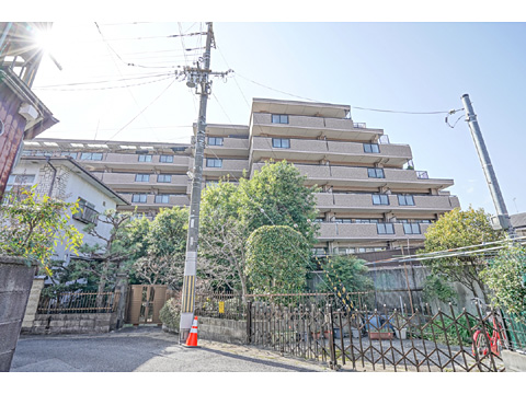 現地外観写真 外観