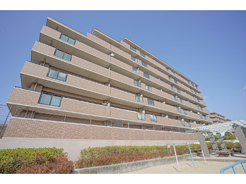 現地外観写真 外観