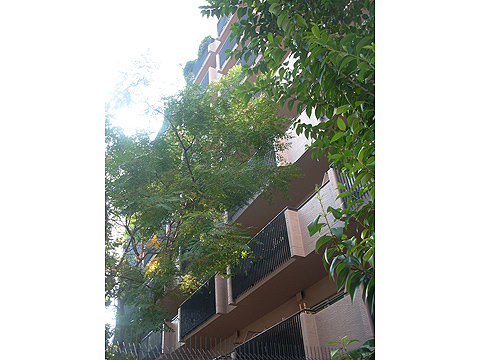 その他共用部　外観2