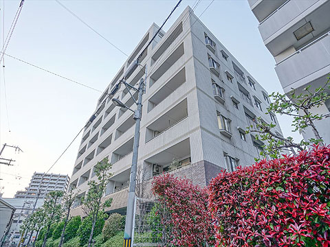 現地外観写真　外観写真