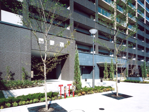 その他共用部 アプローチ