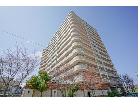 現地外観写真 外観