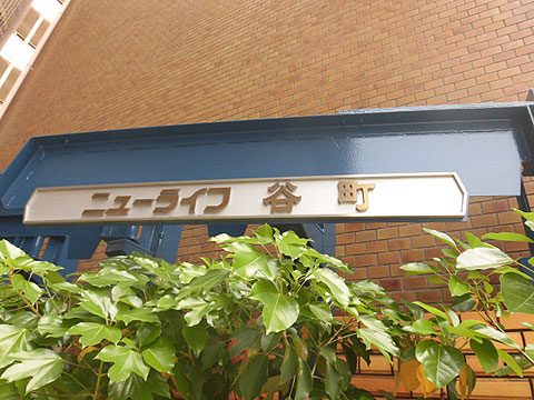 現地外観写真　CIMG8703