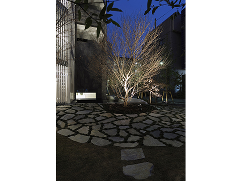 その他共用部 _中庭