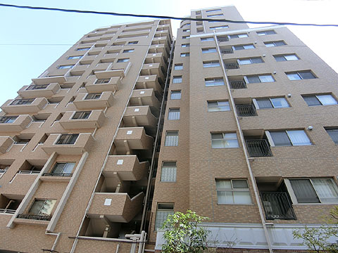 現地土地写真　CIMG9437