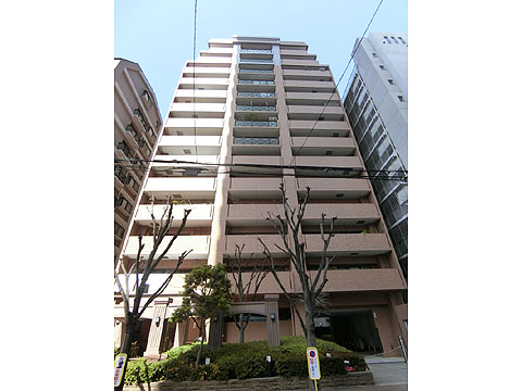 現地外観写真　棟写真たて（ファミール安堂寺町谷町六丁目②）