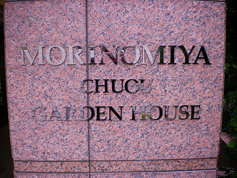 その他共用部　写真１