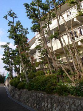 その他共用部　外観3