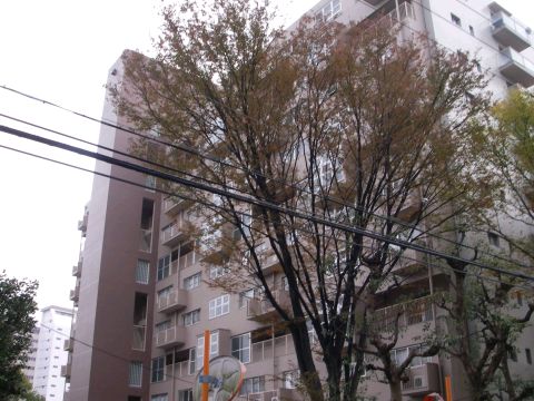 その他共用部　外観3