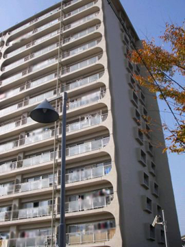 その他共用部 外観3