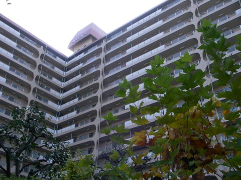 その他共用部 外観5