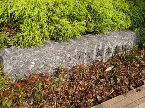 その他共用部 写真1