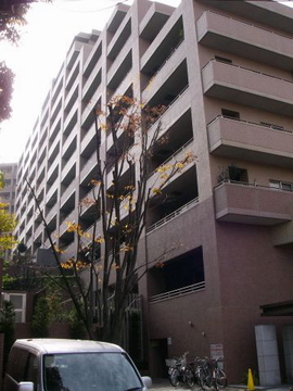 その他共用部　外観2