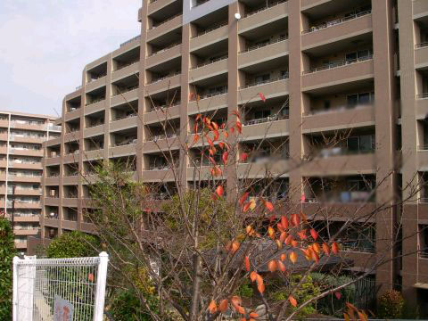 その他共用部　外観5