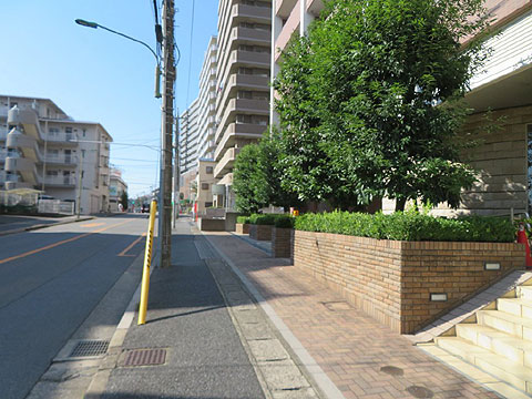 現地外観写真 前面道路