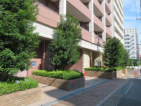 現地外観写真 前面道路