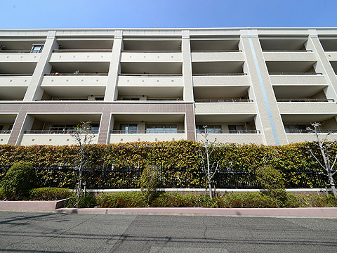 現地外観写真 DSC_1686