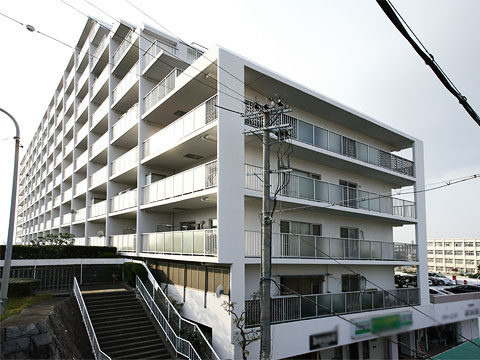 その他共用部 外観4