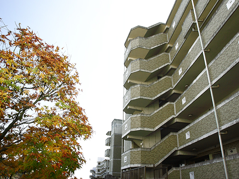 その他共用部 外観4