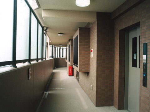その他共用部 廊下