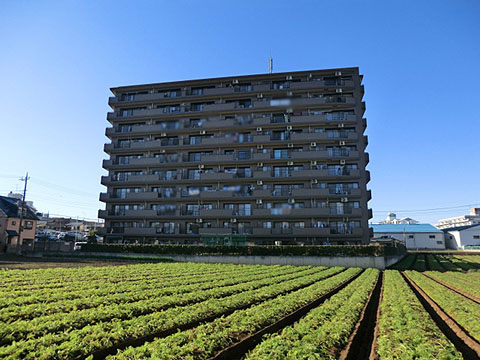 その他共用部　外観2