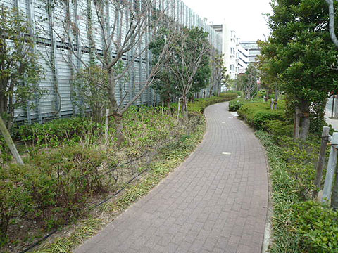 その他共用部　アロマウォーク