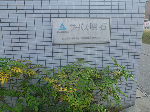 現地外観写真 IMG_0299