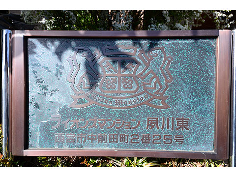 その他共用部 DSC_1760